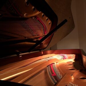 Pianist   北川美晃